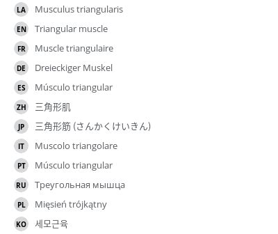 Triangular muscle - e-Anatomy - IMAIOS