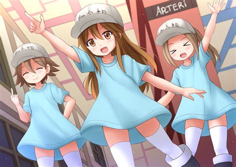 Anime Cells At Work! Wallpapers - Wallpaper Cave