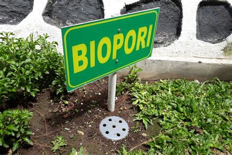 Mengenal Manfaat dan Cara Membuat Biopori di Rumah