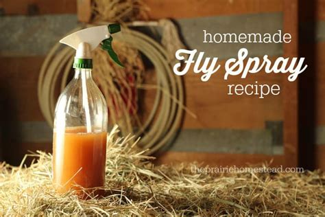 Homemade Fly Spray Recipe | The Prairie Homestead