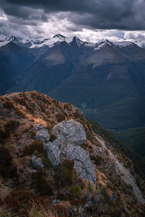 Mount Aspiring National Park, New Zealand Stock Photo - Image of ...