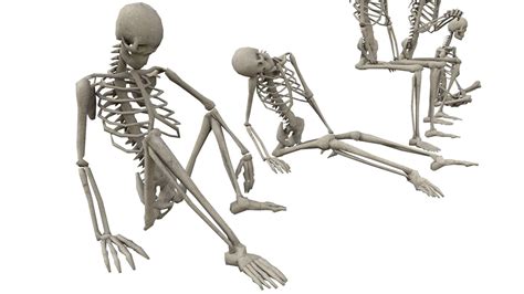 Skeleton Sitting Poses - 3D Model by RandomPolygons