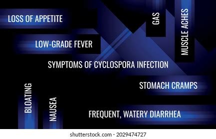 Symptoms Cyclospora Infection Vector Illustration Medical Stock Vector (Royalty Free) 2029474727 ...