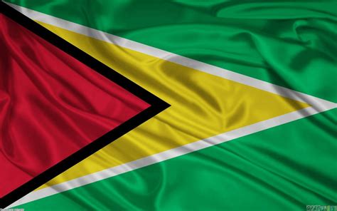 National Flag Of Guyana - RankFlags.com – Collection of Flags