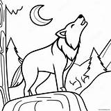 Majestic Wolf Howling At The Moon Coloring Page 64324 50897 sketch template