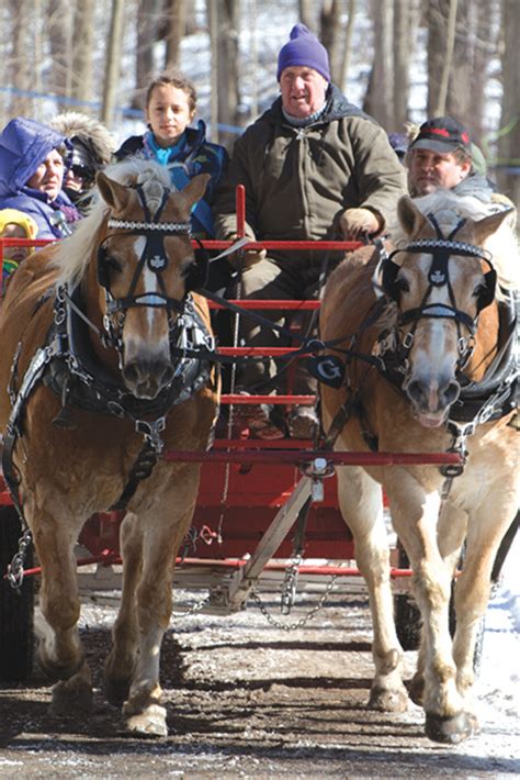 Numbers up for CLOCA Maple Syrup Festival | The Oshawa Express