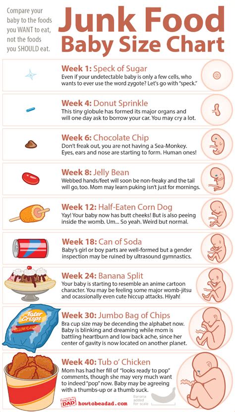 Husband sent this to me. Funny babysize comparison chart. — The Bump