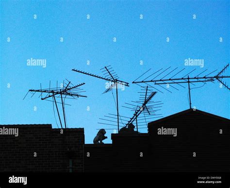 Antenna Tv Old Fashioned High Resolution Stock Photography and Images - Alamy