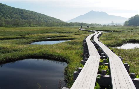 An Ode to Oze National Park | National parks, Beautiful places nature, Japan travel