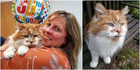 World's Oldest Living Cat Celebrates His 30th Birthday - Cole & Marmalade