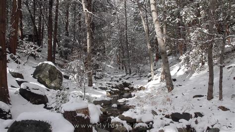 Idyllwild Winter Scenes - YouTube