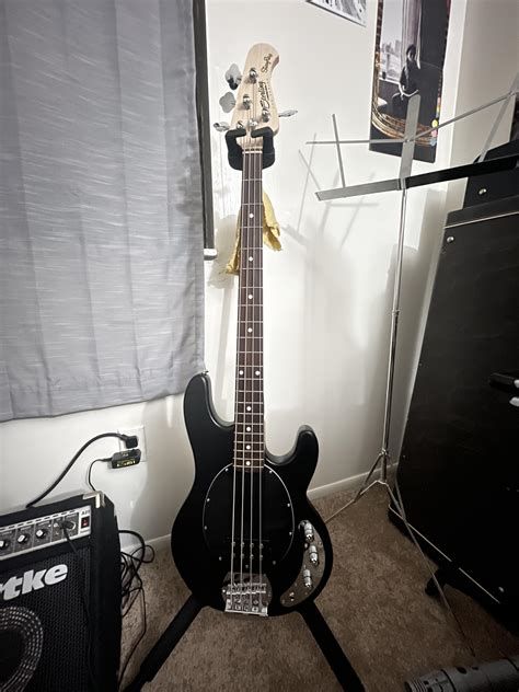 NBD - My first bass Sterling Stingray : r/BassGuitar