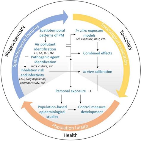 Proposed methodological framework for holistic assessments of the... | Download Scientific Diagram