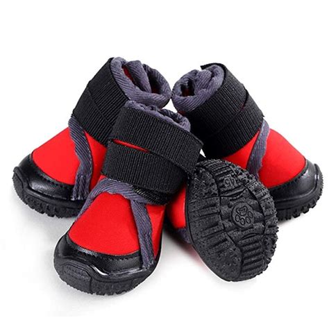 The 5 Best Dog Winter Boots