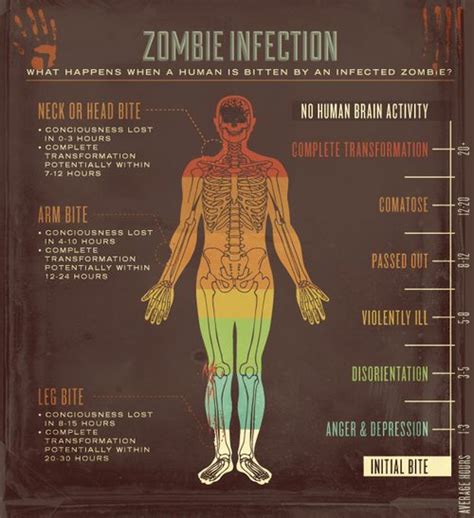 Zombie Infection: What happens when a human is bitten by an infected zombie? | Zombie apocalypse ...