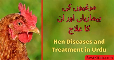 Hen Diseases and Treatment in Urdu Pdf Free Download