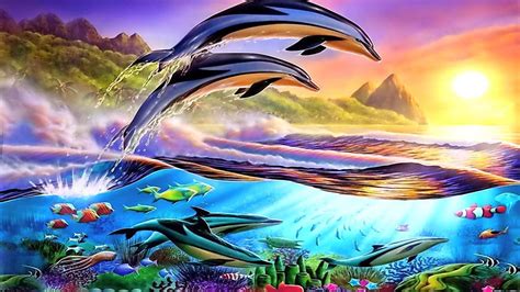 Dolphin Beach Wallpapers - Top Free Dolphin Beach Backgrounds ...