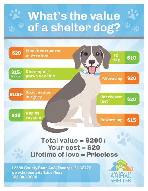 What is the value of a shelter dog? Priceless