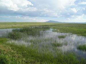 Capturing a vanishing voice in Wyoming - MSU Library | Montana State ...