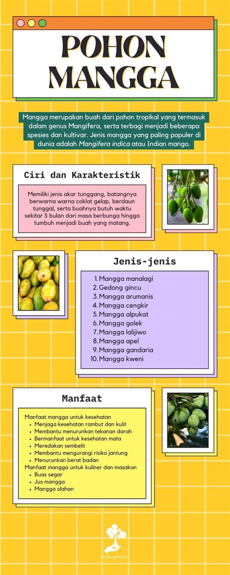 Pohon Mangga: Ciri-ciri, Jenis dan Manfaat Mangga (Up 2022)