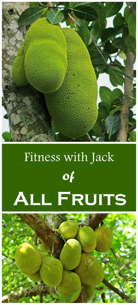 How to Grow Jackfruit from Seed, Growing Jackfruit - Everything About Garden