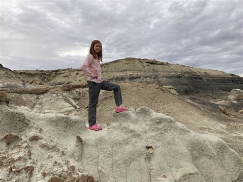 Bisti Badlands - Farmington, New Mexico | Free Camping Near You