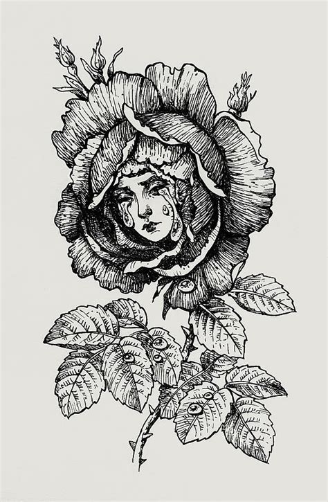 Sad Rose Drawing by Caroline Jamhour - Fine Art America