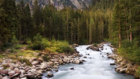 Mountain stream, upper part of Krimml waterfalls, High Tauern National Park, Austria | Windows ...