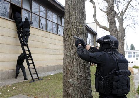 SWAT team on a training. stock image. Image of protective - 5304641