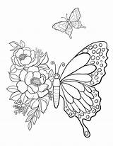 Butterfly Printable Coloring Sheet Pages Kids  Etsy sketch template