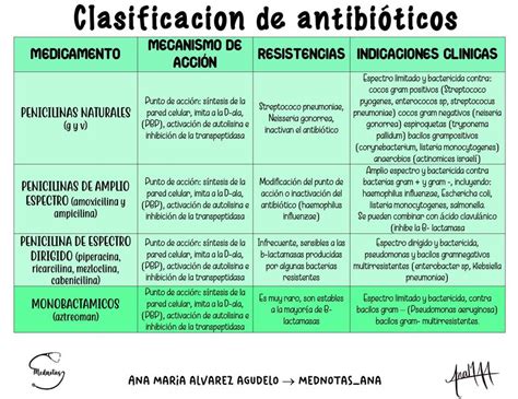 CLASIFICACION DE ANTIBIOTICOS | Ana María Alvarez | uDocz