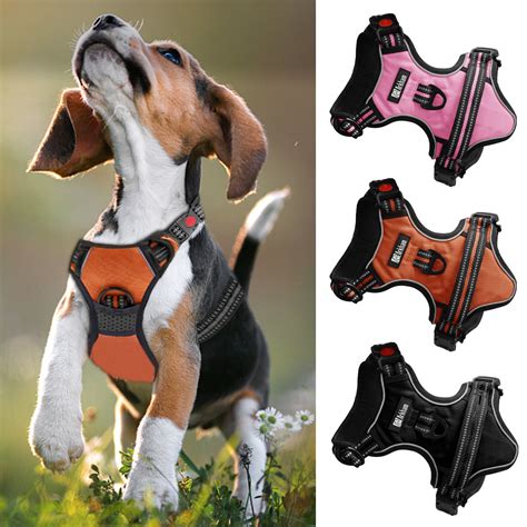 No Pull Dog Harness, Adjustable Dog Walking Harness with Breathable ...