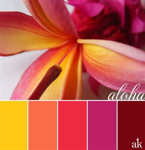 pink plumeria color palette| hawaiian inspired | Color schemes colour ...