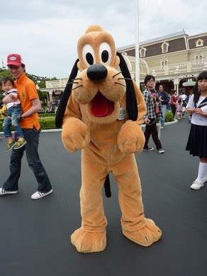 Pluto | Disney Parks Characters Wiki | Fandom