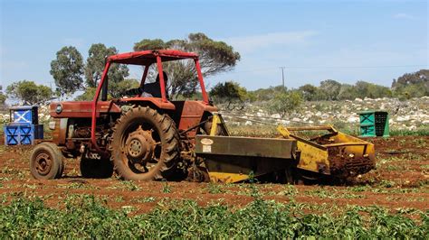 Free photo: Tractor, Working, Potato Harvest - Free Image on Pixabay - 1303525