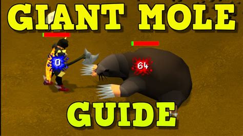 Giant mole guide osrs