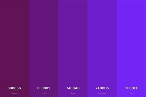 25+ Best Violet Color Palettes with Names and Hex Codes en 2024