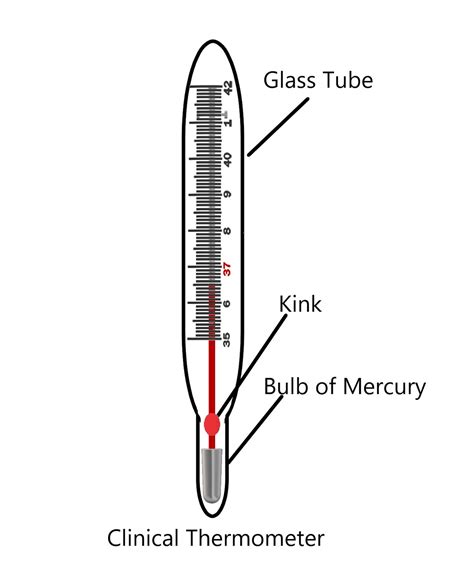 Laboratory Thermometer Diagram - Charles Anderson