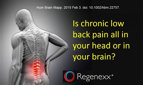 Chronic Low Back Pain is in Your Back and in Your Brain... - Regenexx®