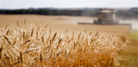 Growing farmland inequality in the Prairies poses problems for all ...