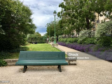 Bangku Kosong Di Taman Bunga Lavender Yang Dikelilingi Oleh Gedunggedung Di Paris Foto Stok ...