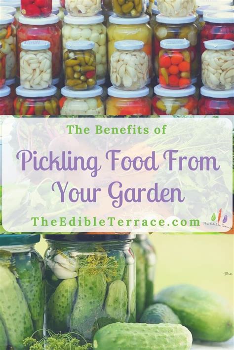 The Benefits Of Pickling Food From Your Garden