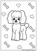 Poodle Coloring Page Printable  Free Coloring Pages sketch template
