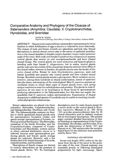 (PDF) Comparative anatomy and phylogeny of the cloacae of salamanders (Amphibia: Caudata). II ...