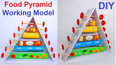 food pyramid working model for class 9 and class 10th | TLM ...