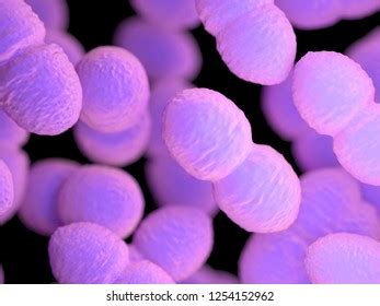 71 Enterococcus Faecium Images, Stock Photos & Vectors | Shutterstock