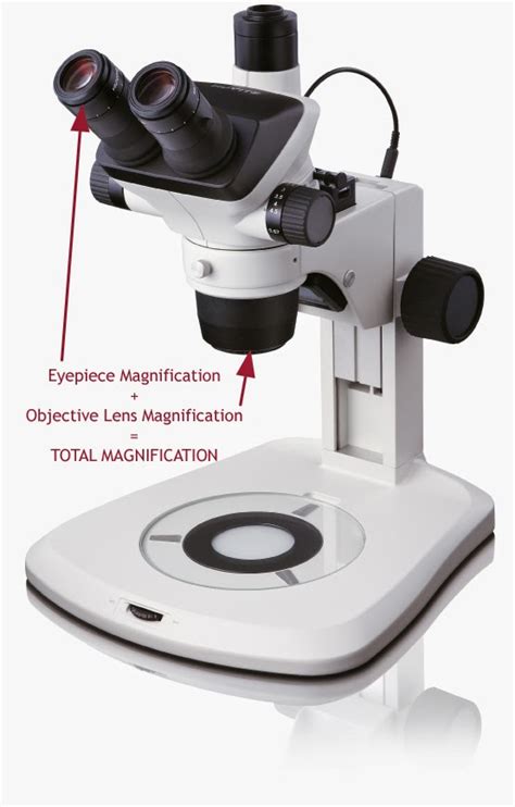 Microscope World Blog: How to Calculate Stereo Microscope Magnification