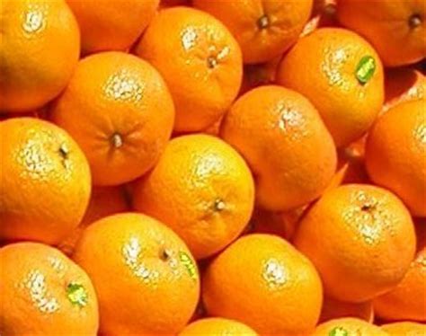 fresh mandarin(kinnu),Pakistan price supplier - 21food