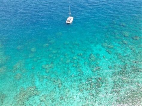 Reef Aerial - Whitsunday Escape™