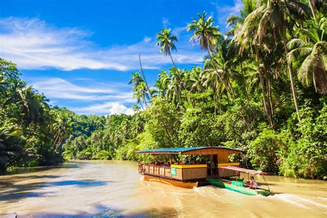 Bohol Countryside and Chocolate Hills Private Tour | Book Now